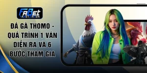 Đá Gà Thomo - Quá Trình 1 Ván Diễn Ra Và 6 Bước Tham Gia