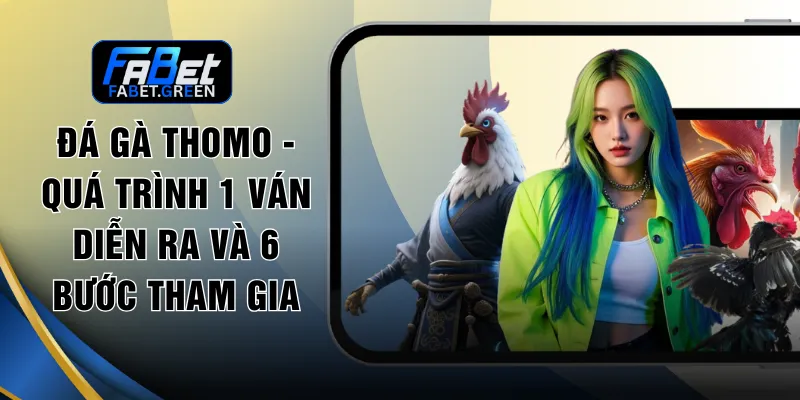 Đá Gà Thomo - Quá Trình 1 Ván Diễn Ra Và 6 Bước Tham Gia